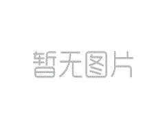 新华社评论|新的芯片法规 - 美国允许中国并高估